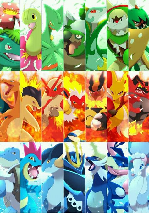 Starter Pokemon - Final Evolution Pokemon Starters Final Evolutions, Pokemon All Starters, All Starter Pokemon Wallpaper, All Pokemon Starters Evolution, Pokemon Starters Evolutions, All Pokemon Starters, All Starter Pokemon, Pokemon Starters Art, Pokemon Starter Evolutions