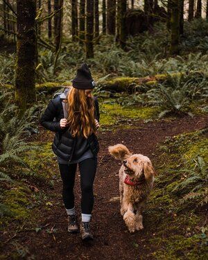 Washington Hikes, Hiking Photography, Dog Photoshoot, Hiking Pictures, Hiking Dogs, Photoshoot Idea, Dog Adventure, Dog Photography, Camping And Hiking