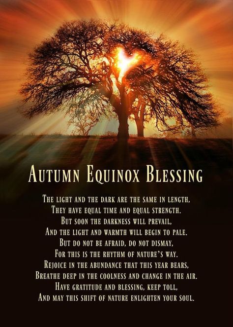 Renee Lee Greco on Twitter: "#AutumnalEquinox… " Autumnal Equinox Celebration, Autumn Equinox Ritual, Solstice And Equinox, Pagan Festivals, Magia Das Ervas, Autumnal Equinox, Beltane, Summer Solstice, Winter Solstice