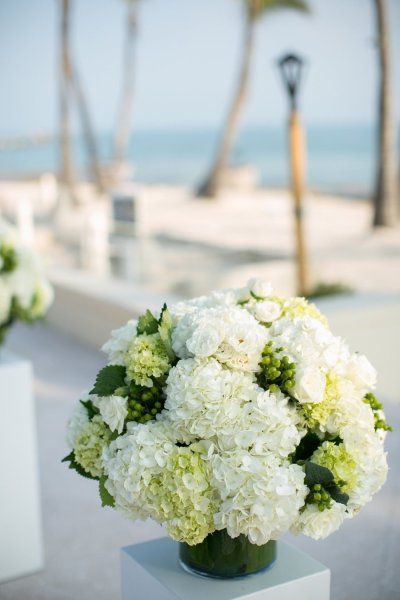 Green and white hydrangea aisle decor. Photography by Jen Ashley / jenandashley.com, Event Design by Weve Got The Keys / wevegotthekeys.com/, Floral Design by Milan Events / milanevent.biz/ White And Green Hydrangea Bouquet, White And Green Hydrangea Wedding, Green And White Hydrangea, Hydrangea Arrangements Wedding, Green Hydrangea Bouquet, Green Hydrangea Wedding, White Hydrangea Wedding, Hydrangea Bouquet Wedding, Hydrangea Wedding