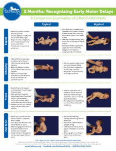 Watch this side by side development video series showing babies at 2, 4 and 6 months old to compare their motor movements and see what typical and atypical motor development looks like. 7 Month Baby Milestones, 2 Month Baby Milestones, 6 Month Baby Milestones, Baby Development Chart, Baby Milestone Chart, Child Development Stages, Infant Daycare, Daycare Curriculum, 2 Month Old Baby