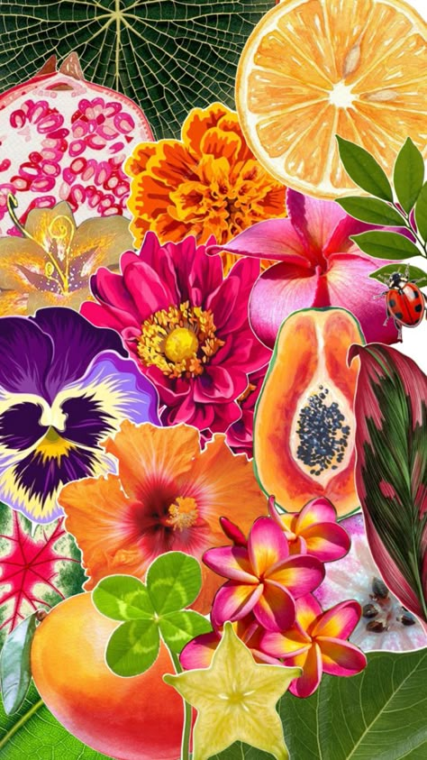 Tropical flowers and fruit collage Tropical Aesthetic Party, Tropical Fruits Aesthetic, Tropical Fruits Illustration, Tropical Fruit Aesthetic, Fruit Aesthetic Art, Tropical Moodboard, Tropical Colours, Rainforest Flowers, Fruit Collage