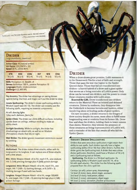 Dnd Spider Queen, Dungeons And Dragons Races, Dnd Backgrounds, Monster Manual, Dnd Stats, Spider Queen, Dungeon Master's Guide, Dnd Races, Dnd Dragons