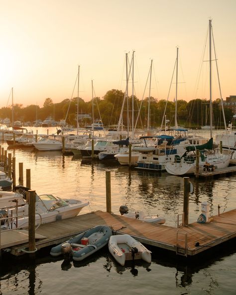 View of boats in Spa Creek at sunset, Annapolis, Maryland Maryland Asthetic, Chesapeake Beach Maryland, Saint Michaels Maryland, Maryland Photography, Ocean City Maryland Aesthetic, Annapolis Wedding, Annapolis Maryland, University Of Maryland, Ocean City Maryland