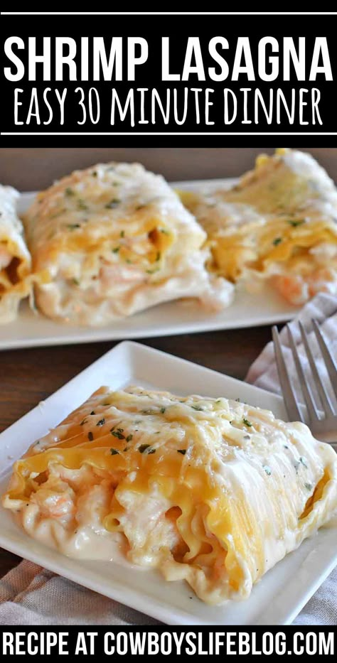 Fun Seafood Recipes, Easy Weeknight Dinners Shrimp, Creamy Jerk Salmon Alfredo Lasagna Rolls, Shrimp And Rice Casserole Recipes Easy, Easy Seafood Lasagna, Shrimp Meals Easy, Fish Lasagna Recipe, Shrimp Pasta Casserole, Easy Shrimp Casserole Recipes