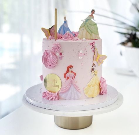 One Tier Princess Cake, Princess Cake For 3rd Birthday, Chocolate Princess Cake, Pastel Princess Cake, Princess Buttercream Cake, Disney Princess Cake Design, Simple Princess Cake, Princess Theme Birthday Cake, Disney Princess Cake Ideas