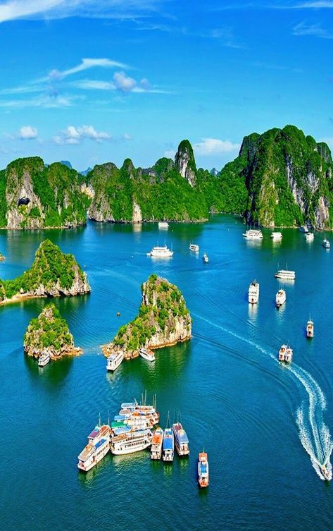 International Tourism, Tourism Development, Ha Long Bay, Halong Bay, Shore Excursions, Adventure Tours, Vietnam Travel, Travel And Tourism, Tour Packages