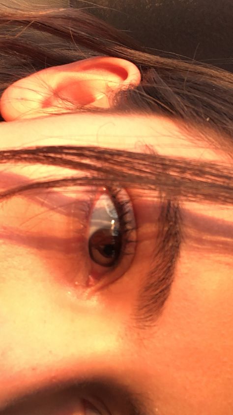 Brown eyes in sunlight ☀️ Sunlight Selfie Aesthetic, Brown Eyes In Sunlight, Eyes In Sunlight, Brown Eyes Aesthetic, Pretty Brown Eyes, Eye Close Up, Self Pictures, Eye Pictures, Eyes Wallpaper