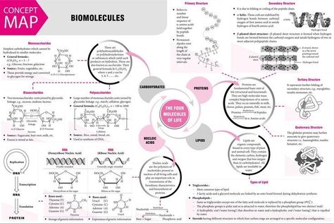 Biomolecules Class 12 Mind Map, Organic Chemistry Wallpaper, Notes On Notion, Study Organic Chemistry, Organic Chemistry Art, Organic Chemistry Mechanisms, Organic Chemistry Cheat Sheet, Brain Map, Organic Chemistry Notes