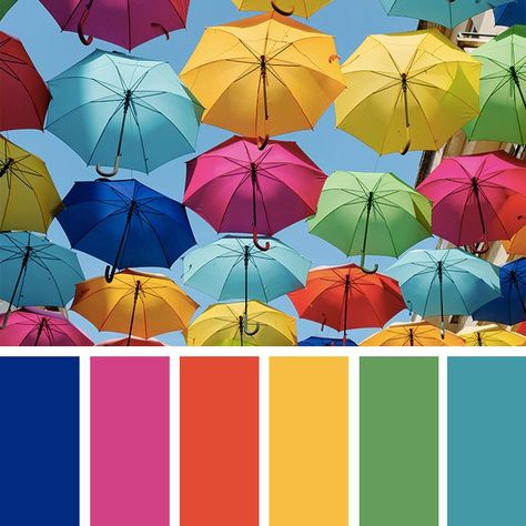 The Color Catalog By SRC on Instagram: “Love these deep tone of fun bright colors, do you agree? ⁠ .⁠ .⁠ .⁠ ⁠ ⠀⠀⠀⠀⠀⠀⠀⠀⁠ #livecolourfully #colorlove #colorlover #colourlove…” Sarah Renae Clark, Color Catalog, Instagram Widget, Dose Of Colors, Color Crush, World Of Color, Color Pallets, Color Swatches, Colour Palette