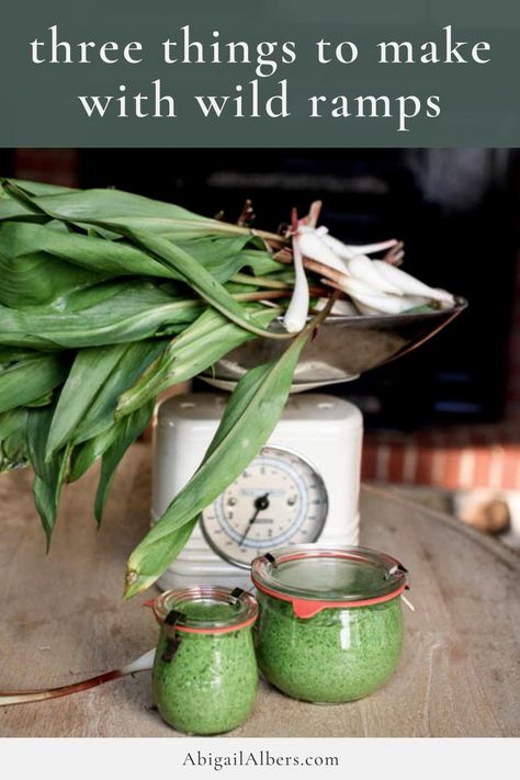 I’ve been reading about ramps for years and the first time I had them they were rolled into homemade butter from the local epicurean in downtown grand rapids. They are so crisp and garlicky they make everything just pop. The 3 wild ramp recipes are for ramp pesto, ramp butter and pickled ramp bulbs.