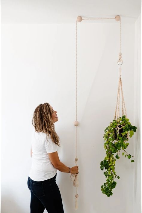 Indoor Plants Ideas Decor, Hanging Plant Indoor, Plant Pulley, Indoor Plant Ideas, Macrame Inspiration, Plant Indoor, Plants Ideas, Green Oasis, Vintage Revival