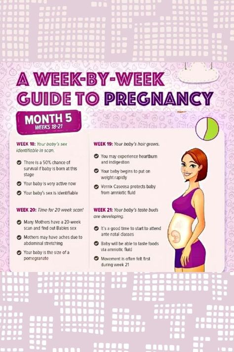 Pregnant Exercise, Bump Progression, Baby Bump Progression, 20 Week Scan, Pregnancy Chart, Tips For Pregnancy, Someone Quotes, Missing Someone Quotes, Pregnancy Timeline