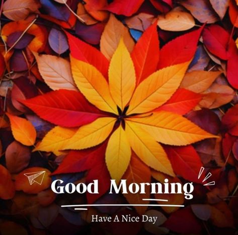 Fall Good Morning, Good Morning Fall Images, Good Morning Fall, Nice Good Morning Images, Autumn Pictures, Pumpkin Images, Good Morning Friday, Good Morning Funny Pictures, Good Morning Inspiration