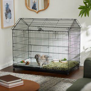 Give your small pet a home of their own with the Frisco Wire Small Pet House Shaped Cage! This spacious habitat has lots of room for your pet to explore, play and relax, and there’s lots of room inside for all their favorite accessories like wheels, hideaways and more. It’s made from sturdy wire with a durable coating, and it features dual doors—one on the roof for easy access to your pet and one on the side, as well. Outdoor Rabbit, Metal Building House Plans, Pet Bunny Rabbits, Pets Accessories, Bunny Cages, Pet Boarding, Rabbit Cage, Rabbit Care, Small Animal Cage