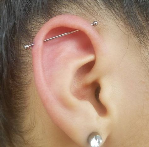 Small Ear Piercings, Ušný Piercing, Ear Piercings Industrial, Bodysuit Tattoos, Bar Piercing, Ear Peircings, Ear Piercings Chart, Vintage Tattoos, Ear Piercings Tragus