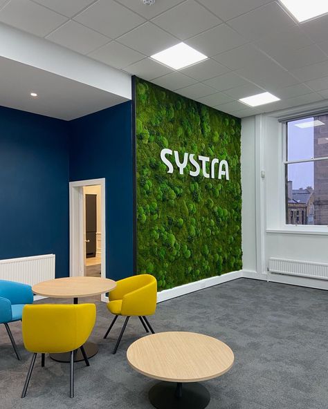 A few images and videos from our recent preserved moss walls installations @systra_ukirl UK offices 🌿 More info and behind the scenes video will follow soon! __________ #office #officedesign #greenspaces #greenoffice #interiorgreen Moss Wall Office, Green Wall Office, Moss Walls, Wall Office, Green Office, Biophilic Design, Preserved Moss, Moss Wall, Office Designs