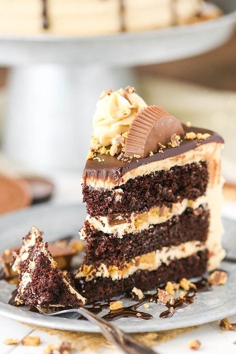 Peanut Butter Chocolate Layer Cake with Reese's Peanut Butter Cups! Peanut Butter Cake Filling, Chocolate Layer Cake Filling, Sully Cake, Reeses Cake, Chocolate Layer Cake Recipe, Cake Filling Recipes, Chocolate Peanut Butter Cake, Quick Cake, Homemade Chocolate Cake