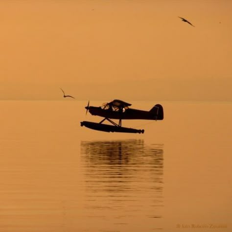 Bush Pilot, Amphibious Aircraft, Bush Plane, Sea Plane, Float Plane, Flying Boat, General Aviation, Aviation Art, Foto Art