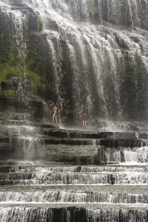 cummins falls tn dangerous | Cummins Falls State Park, TN Falls Creek Falls Tennessee, Greeter Falls Tennessee, Cummins Falls State Park Tennessee, Waterfalls In Gatlinburg Tn, Cummins Falls State Park, Mckinney Falls State Park, Tennessee Road Trip, Smokey Mountains Vacation, Tennessee Travel