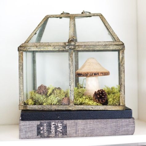 Faux Terrarium Greenhouse Terrarium, Tabletop Terrarium, Mason Jar Terrarium, Neverland Nursery, Bell Jars, Old Lanterns, Beautiful Terrariums, Dish Gardens, Fairy Gnome