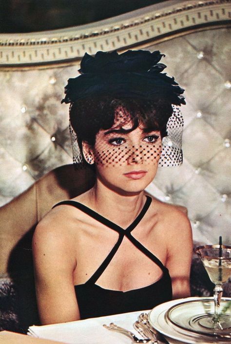 Picture Clips, Troy Donahue, Suzanne Pleshette, Connie Stevens, Colourpop Eyeshadow, Sandra Dee, Dramatic Classic, Hair Jewels, Glamour Photo