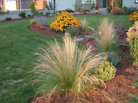 deer resistant landscaping - Google Search Deer Resistant Landscaping, Deer Proof Plants, Deer Resistant Garden, Deer Proof, Deer Resistant Perennials, Deer Resistant Plants, Landscaping Tips, Desert Landscaping, Exeter