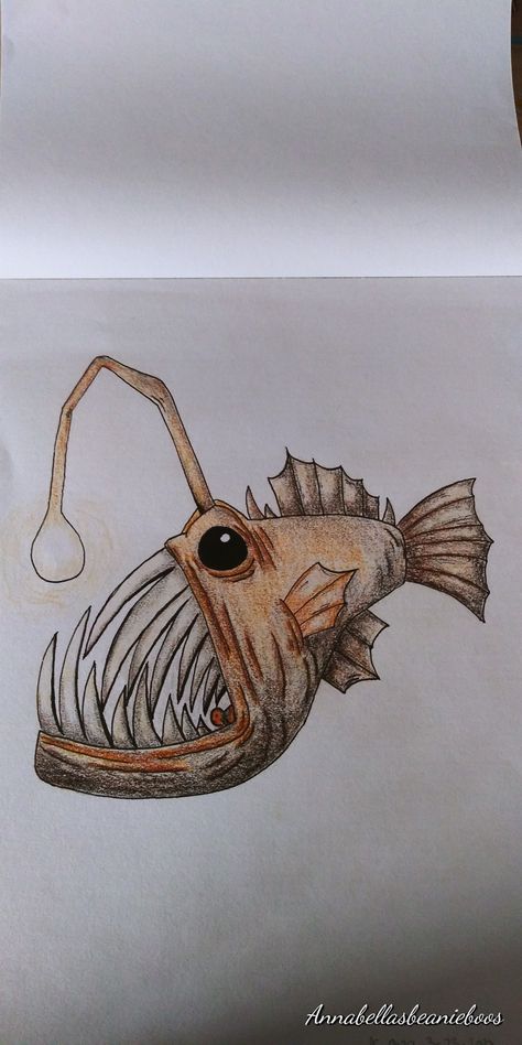 Angler Fish Drawing Easy, Cartoon Angler Fish, Monster Fish Drawing, Lantern Fish Drawing, Drawings Sea Creatures Art, Anglerfish Art, Cool Fish Drawing, Scary Fish Drawing, Anglerfish Drawing