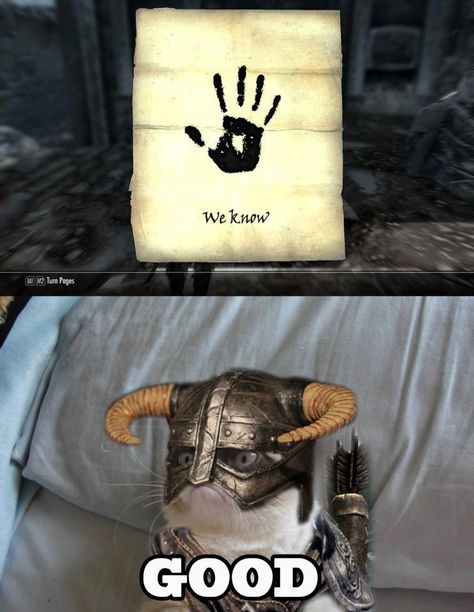 #GrumpyCat #Memes The Dark Brotherhood, Elder Scrolls Memes, Skyrim Funny, Skyrim Game, Elder Scrolls Games, Dark Brotherhood, Elder Scrolls Skyrim, Hilarious Stuff, Elder Scrolls V Skyrim