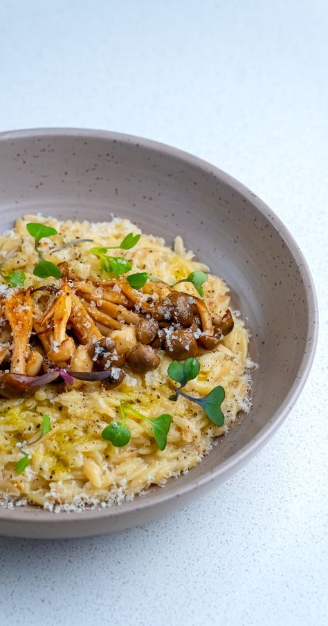 Creamy Mushroom Orzo — Bread Bake Beyond Pioppino Mushrooms, Mushroom Orzo, Spicy Spaghetti, Orzo Recipe, Thyme Salt, Caprese Sandwich, Orzo Recipes, Tasty Pasta, Creamy Mushrooms