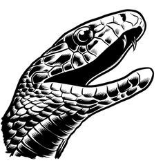 Black Mamba Drawing, Black Mamba Tattoo, Charles Burns, Black Mamba Snake, Mamba Snake, Snake Drawing, Snake Art, Artist Alley, Snake Tattoo