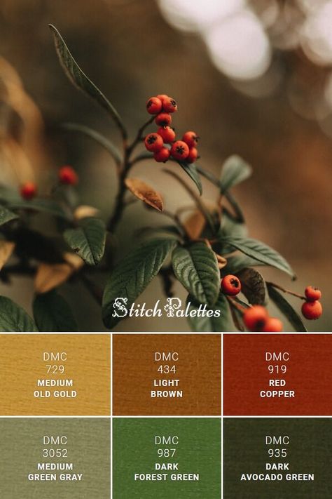 2023 Palette Color, Fall Earth Tone Color Palette, Mushroom Forest Color Palette, Red Green Gold Color Palette, Forest Aesthetic Color Palette, Green Red Brown Color Palette, Forest Palette Color, Forest Pallete, Old Color Palette