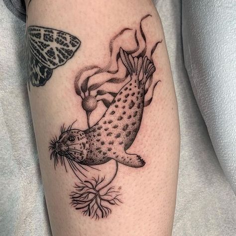 Danielle Allen | Harbor Seal and Bull Kelp 🤍 #seattletattooer #seattletattoo #harborseal #sealtattoo #seaweedtattoo | Instagram Harbor Seal Tattoo, Bull Kelp Tattoo, Coelacanth Tattoo, Kelp Tattoo, Bull Kelp, Ocean Sleeve, Seal Tattoo, Bull Tattoo, Seattle Tattoo