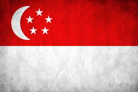 SINGAPORE: a country in Southeast Asia that consists of the island of Singapore (linked by a causeway to the southern tip of the Malay Peninsula) and about 54 smaller islands; pop. 4,353,000; capital, Singapore City; official languages, Malay, Chinese, Tamil, and English.  Singapore Grunge Flag by *think0 on deviantART Singapore Wallpaper, Flags Wallpaper, Emsculpt Neo, Singapore Flag, Serbia Flag, Singapore Noodles, Singapore Art, Singapore City, Pirate Flag