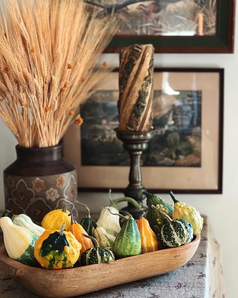 All the fall feels 🍂🍁 More in stories xx #bringingvintagetothetable #gatherings #gather #gathering #gatherandfeast #gatheringslikethese #theartofgathering #fall #fallvibes #autumn #autumnvibes Fall Feels, Fall Table, Thanksgiving Table, Gourds, The Table, Fall Vibes, The Fall, Pumpkins, Thanksgiving