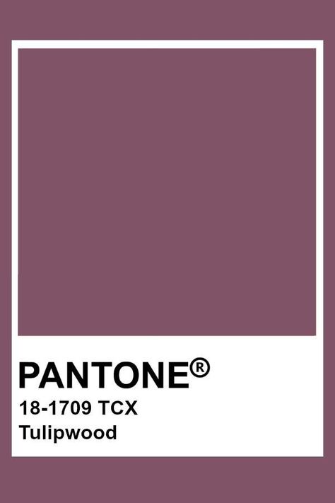 Pantone Cards, Brown Pantone, Color Uva, Pantone Tcx, Pantone Colours, Pantone Color Chart, Pantone Swatches, Color Knowledge, Pantone 2020