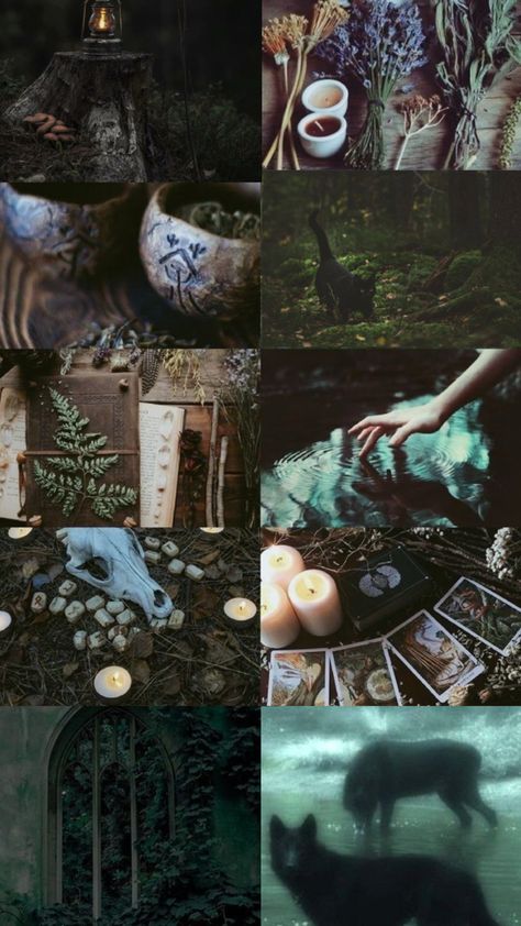 Forrest witch Dark Earthy Witch Aesthetic, Faerie Witch Aesthetic, Animal Witch Aesthetic, Woods Witch Aesthetic, Scottish Witch Aesthetic, Dark Forest Witch Aesthetic, Witchy Earthy Aesthetic, Country Witch Aesthetic, Fantasy Witch Aesthetic