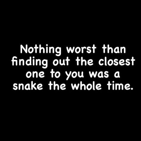 Quotes About Snakes, Snakes Quotes, Toxic Coworkers, Infidelity Quotes, 23 Quotes, Trust Yourself Quotes, Enemies Quotes, Betrayal Quotes, Perspective Quotes