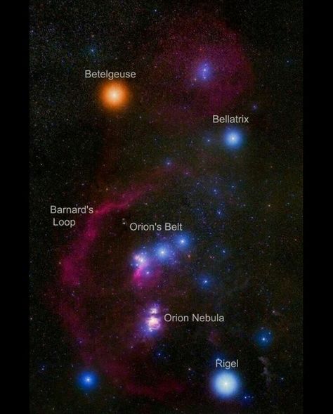 Bellatrix Star, Rigel Star, Betelgeuse Star, Orion Belt, Emission Nebula, Orion Tattoo, Star Names, Nebula Tattoo, Nebula Wallpaper