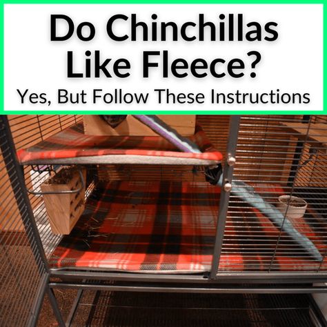 Chinchilla Fleece Accessories Diy, Chinchilla Room Ideas, Chinchilla Cage Setup, Chinchilla Accessories, Chinchilla Cage Ideas, Chinchilla Ledges, Diy Chinchilla Toys, Chinchilla Care, Chinchilla Toys