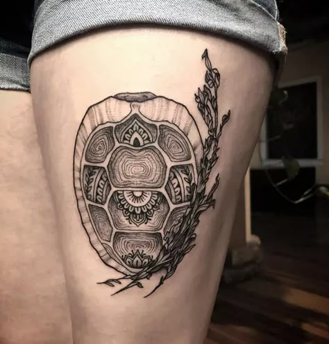 https://allabouttattoo.com/wp-content/uploads/2023/04/Turtle-Shell-Tattoo.webp Tortoise Shell Tattoo, Turtle Shell Tattoo, Box Turtle Tattoo, Snapping Turtle Tattoo, Turtle Shell Art, Turkey Tattoos, Afro Tattoo, Miscellaneous Tattoos, Tortoise Tattoo