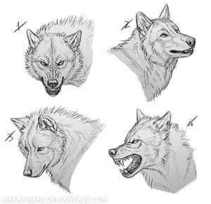 Finish The Drawing, Wolf Sketch, Canine Drawing, Wolf Spirit Animal, Canine Art, Wolf Drawing, Wildlife Artists, Animal Sketches, Wolf Art