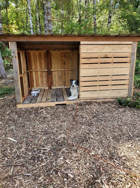 Diy Dog Outside Area, Easy Dog Kennel Outdoor, Dog House Of Pallets, Dog Pallet Projects, Pallet Kennel Dog, Outdoor Dog Kennels Ideas Backyards, Pallet Dog Shelter, Lean To For Dogs, Diy Dog Kennel Outdoor Pallets