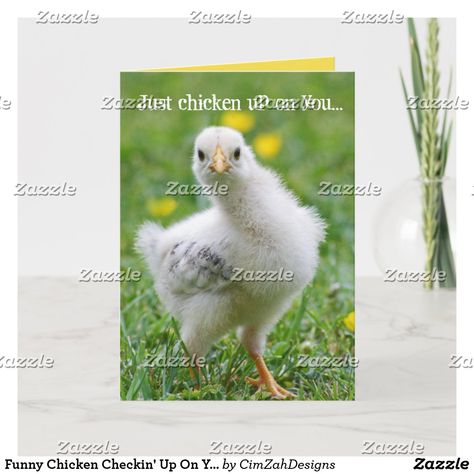 Chicken Chick, Funny Chicken, Funny Animal Photos, Cute Chickens, Chicken Art, Chicken Humor, Funny Birds, Get Well Cards, Custom Greeting Cards