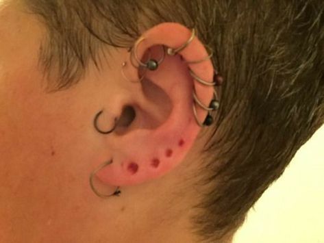 Boaz Priestly, Small Stretched Ears, Guys Ear Piercings, Body Modification Piercings, Men's Piercings, Small Gauges, Multiple Ear Piercing, Face Piercings, Multiple Earrings