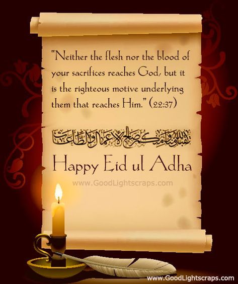 Eid ul-adha orkut scraps, images, greetings, wishes Eid Ul Fitr Quotes, Eid Al Adha Wishes, Islamic Greetings, Eid Mubarek, Eid Quotes, Eid Adha Mubarak, Eid Mubarak Quotes, Eid Al Adha Greetings, Eid Mubarak Wishes