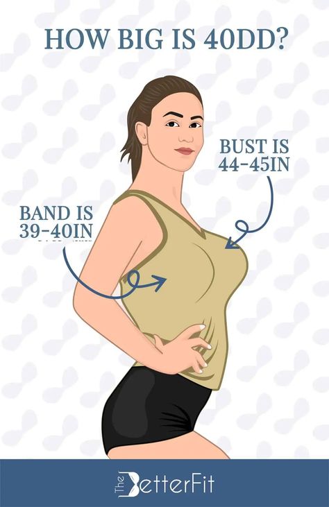 How Big Is a 40DD Bra Cup Size? | TheBetterFit 30d Bra, Dd Bra Size, Breast Sizes Chart, Aubrey O'day, Mikasa Anime, Bra Cup Size, Gina Rodriguez, Big Bra, Wonder Bra