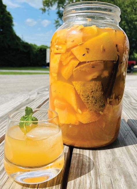 Ginger Bug, Cantaloupe Recipes, Fermenting Weights, Probiotic Drinks, New Restaurant, Alcohol Content, Food Preservation, Sweet Tarts, Fresh Lime