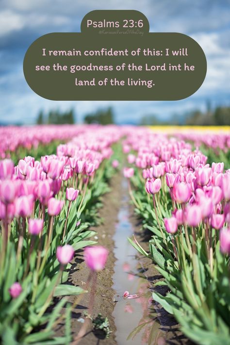 Psalm 23 6, Land Of The Living, Powerful Bible Verses, Psalm 23, Morning Star, April 26, Daily Bible, Verse Of The Day, Verse Quotes