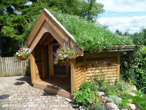 Cool dog house Shed Of The Year, Cool Dog Houses, Dog House Diy, Living Roofs, Shed Roof, Chicken House, Amazing Spaces, Roof Garden, Green Roof